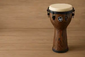 djembés LP leguidedesbatteurs.com