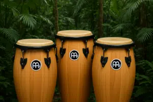 congas meinl leguidedesbatteurs.com