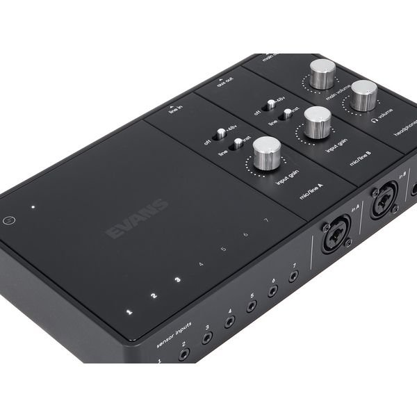 Evans Hybrid Sensory, vue 9 (photo Thomann)
