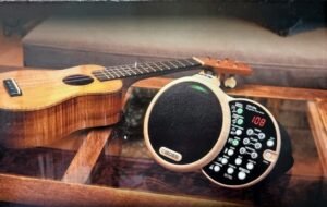 Instrument de musique et accessoires boss DR-01S leguidedesbatteurs.com