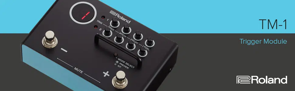 Roland TM-1