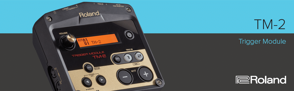 Roland TM-2
