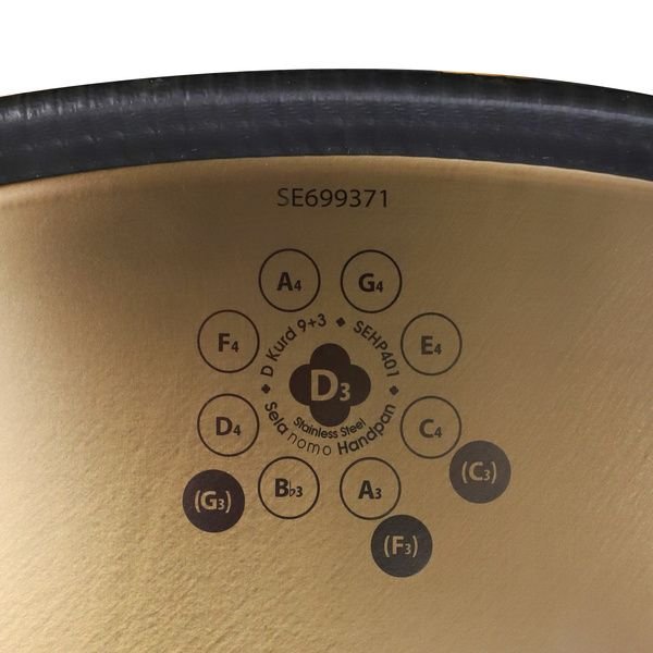 Sela NOMO Handpan D Kurd SEHP401 en situation de jeu