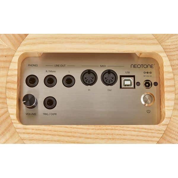 Connectique du Neotone One : sorties ligne, casque, MIDI, USB