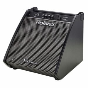 Roland PM-200 : moniteur de batterie électronique 12 pouces de 180 W